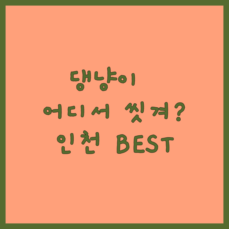 우리 댕댕이 냥이, 어디서 목욕시킬까? 🛁 인천 반려동물목욕 BEST 선택 가이드!