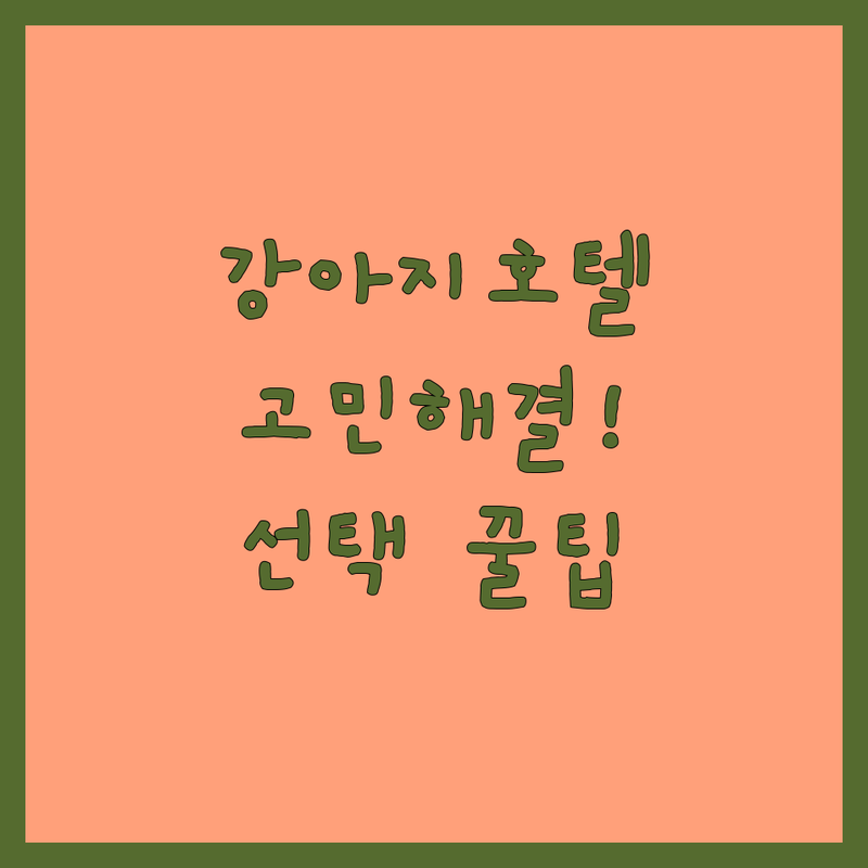 강아지호텔 고민 해결! 부천시 원미구 중동 강아지호텔 솔루션 | 전문가가 알려주는 선택 팁