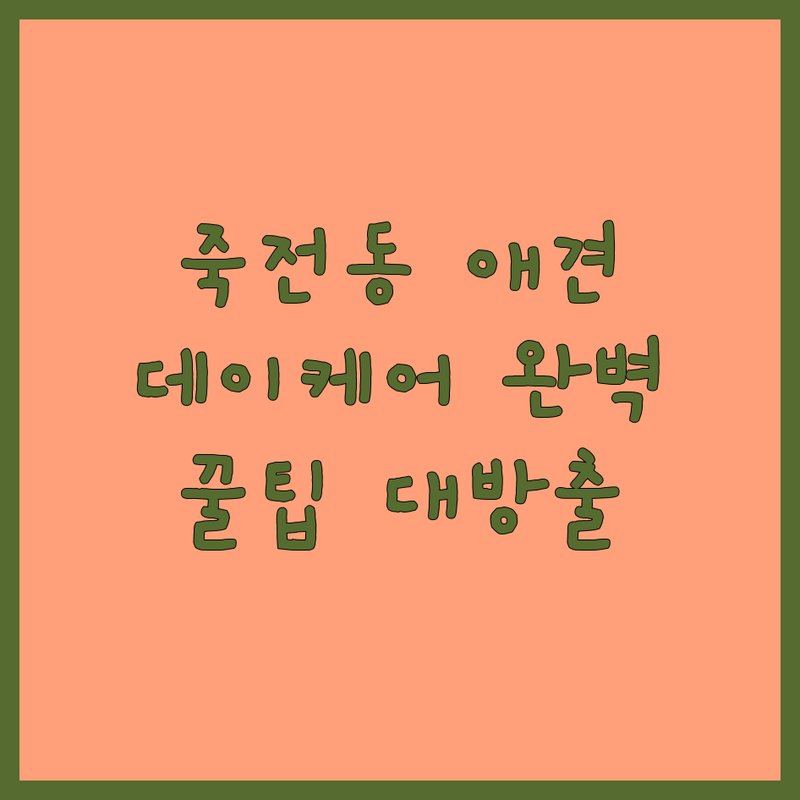 용인시 수지구 죽전동에서 애견데이케어 찾고 계신가요? 우리 아이를 위한 완벽 가이드!