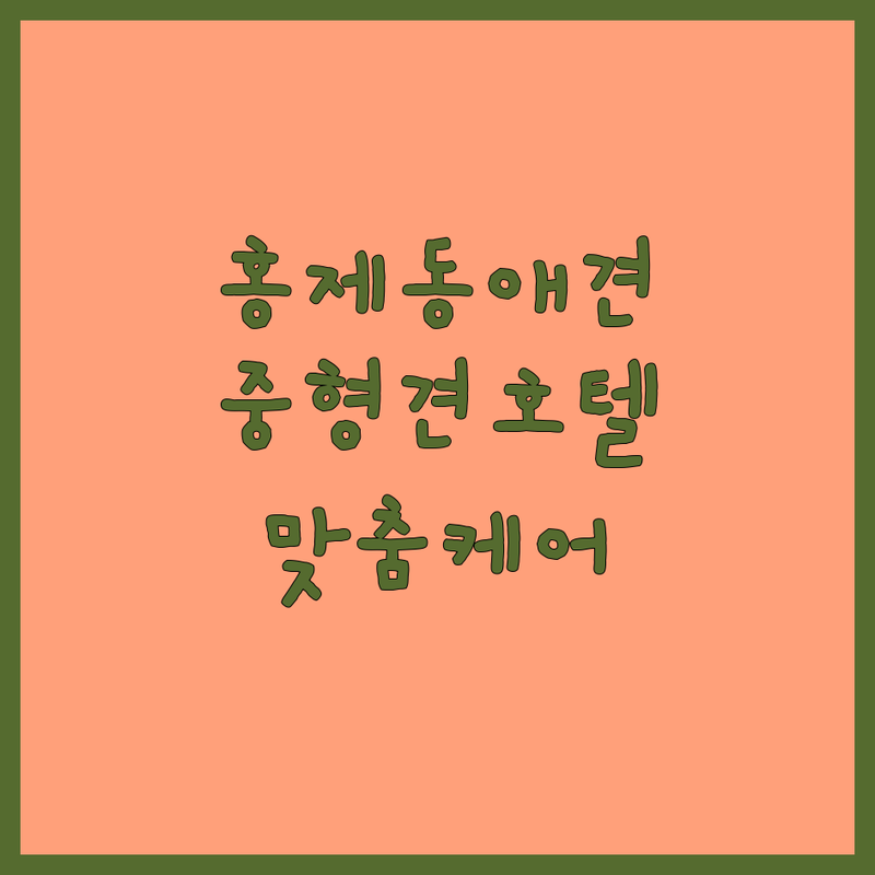 서울 서대문구 홍제동 애견호텔 중형견 저렴한 곳 업체 추천 | 중형견 애견유치원 대형견호텔 비용 가격 잘하는 곳 | 장기호텔링 데이케어 픽업서비스 | 맞춤케어 수제간식 24시간상주 | 천연잔디운동장 CCTV 깨끗한시설