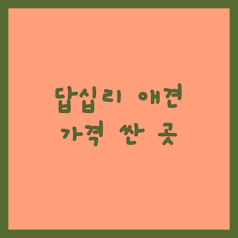 동대문구 답십리 애견호텔 가격싼 곳 업체 추천 | 강아지호텔 비용 잘하는 곳 | 펫시터 당일치기 장기 위탁 | 반려견 돌봄 안심 케어 | 픽업 서비스 놀이방