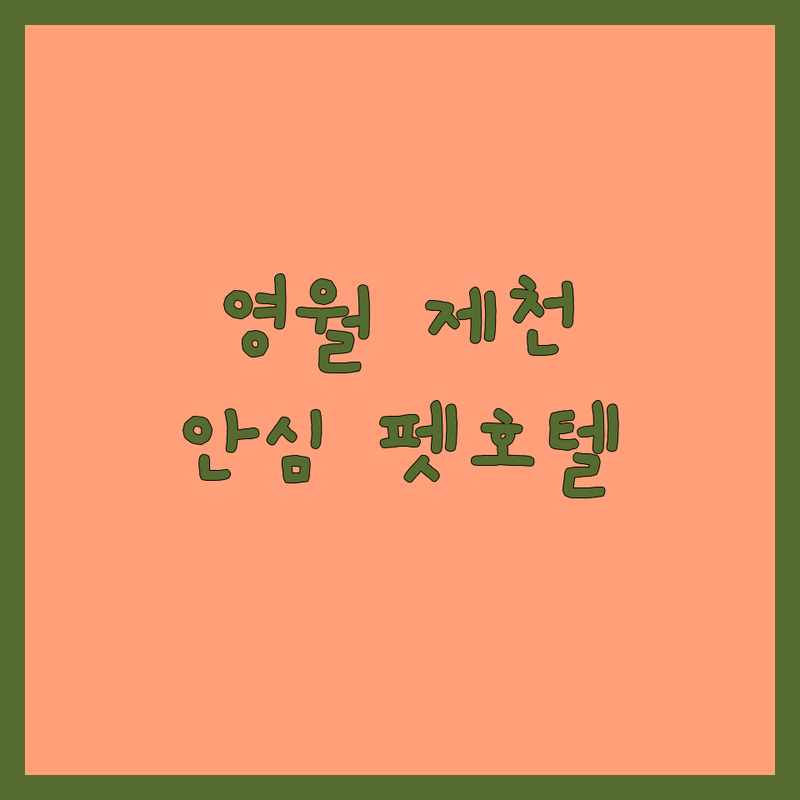 강원 영월/충북 제천 애견호텔 추천 안전한 곳 비용 가격 후기 | 우리 아이 맞춤형 강아지호텔 펫시터 애견유치원 데이케어 | 반려인 걱정 덜어주는 최적의 애견 숙소 돌봄 노하우