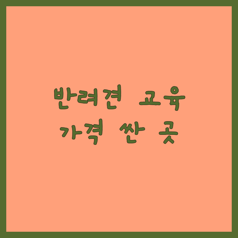 마포 용산 반려동물교육 저렴한 곳 가격싼 곳 업체 추천 | 강아지훈련 비용 가격 잘하는 곳 | 방문교육 그룹교육 행동교정 | 애견훈련 애견유치원 펫시터 | 전문 트레이너 친절 상담