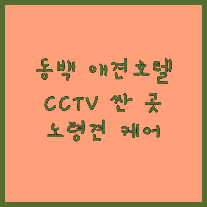 용인 동백 애견호텔 CCTV 가격 싼 곳 업체 추천 | 반려동물호텔 실시간 모니터링 잘하는 곳 | 1견1실 프라이빗케어 산책 추가 | 노령견 케어 다견가정 할인