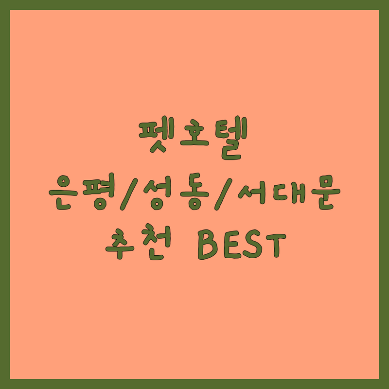 서울 은평구, 성동구, 서대문구 펫호텔 정보 모음 | 현지인이 추천하는 BEST 선택