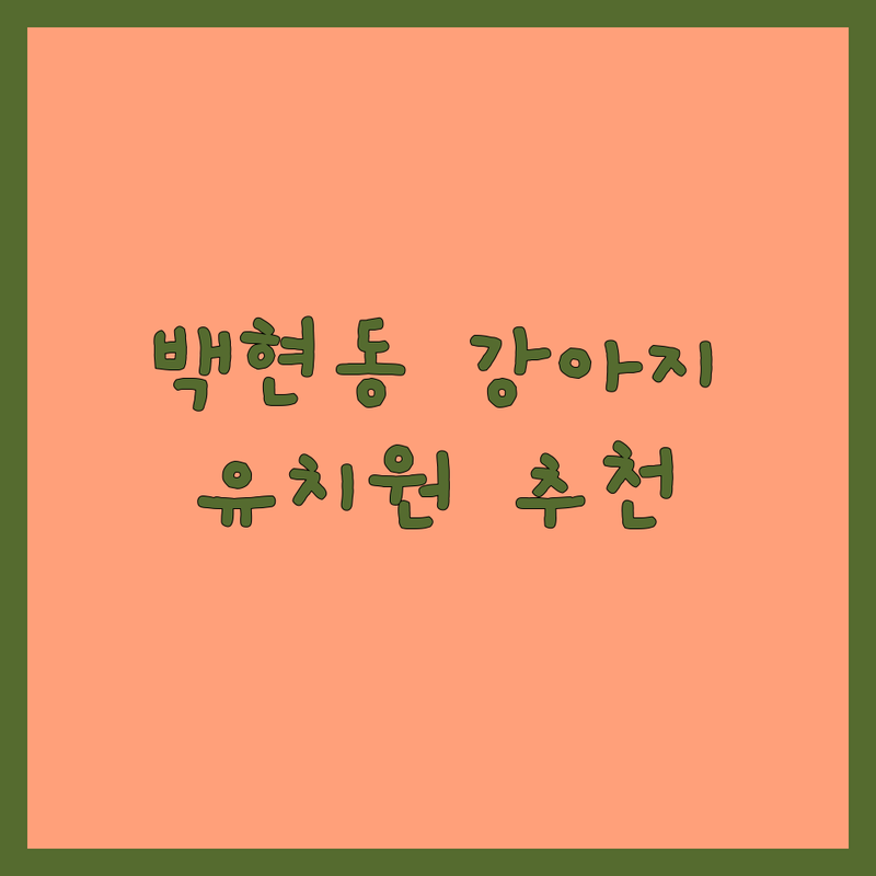 판교 백현동 강아지유치원 저렴한 곳 가격싼 곳 업체 추천 | 애견유치원 비용 가격 잘하는 곳 | 강아지 데이케어 호텔링 훈련 | 분리불안 사회화 전문 | 소형견 대형견 방문교육 상담