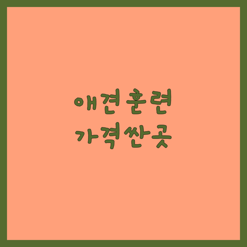 서울 반려동물교육 훈련소 가격 저렴한 곳 추천 | 강아지 행동교정 비용 잘하는 곳 | 방문교육 주간위탁훈련 펫유치원 | 애견훈련 전문가 상담 후기 | 강아지 사회화 문제행동