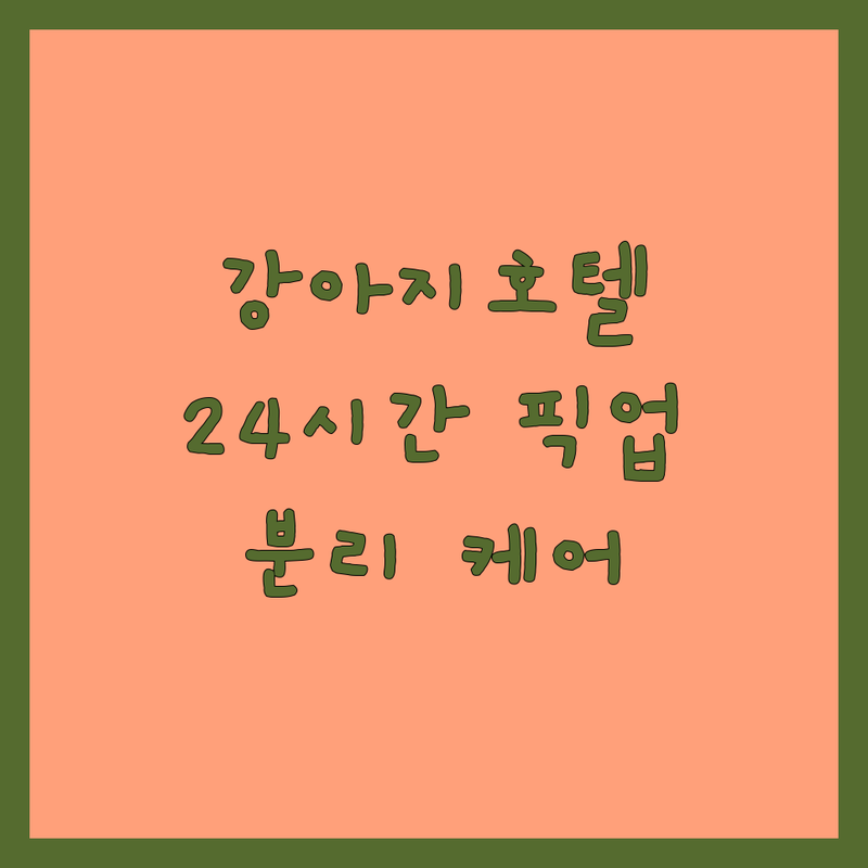 서울 강남 종로 수원 강아지호텔 애견호텔 애견유치원 저렴한 곳 추천 | 24시간 픽업 수제간식 비용 가격 잘하는 곳 | 소형견 중형견 대형견 분리케어 | 안심 위탁 반려인 팁 | 내돈내산 솔직 후기