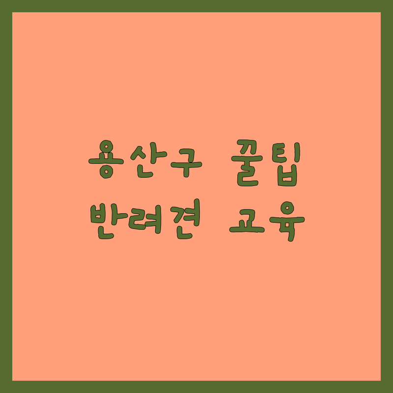 서울 용산구 반려동물교육 저렴한 곳 가격싼 곳 업체 추천 | 반려견 행동교정 비용 잘하는 곳 | 강아지 훈련 퍼피클래스 방문교육 | 애견유치원 호텔 미용 | 무료상담 산책 교육 후기