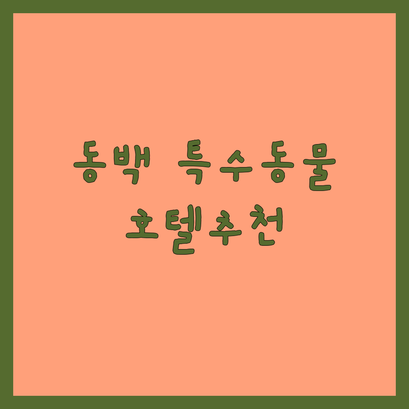 용인 동백 특수동물호텔 저렴한 곳 업체 추천 | 애견호텔 비용 가격 잘하는 곳 | 강아지 고양이 소동물 위탁 돌봄 | 안전한 케어 전문가 후기