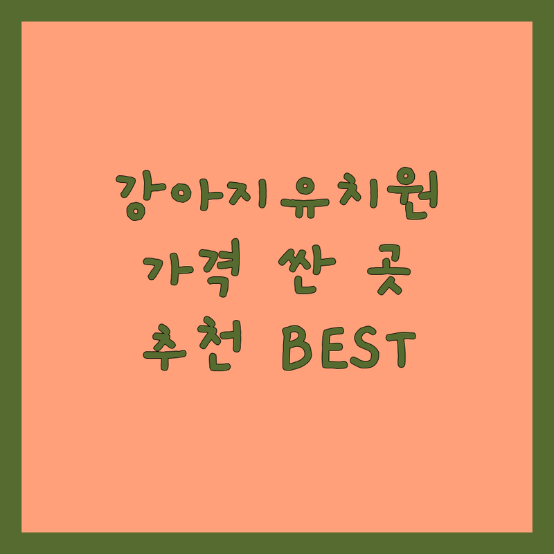서울 강아지유치원 저렴한 곳 가격싼 곳 업체 추천 | 애견유치원 비용 가격 잘하는 곳 | 강아지 데이케어 호텔링 훈련 | 소형견 대형견 맞춤 케어 | 실내 놀이터 매너 교육