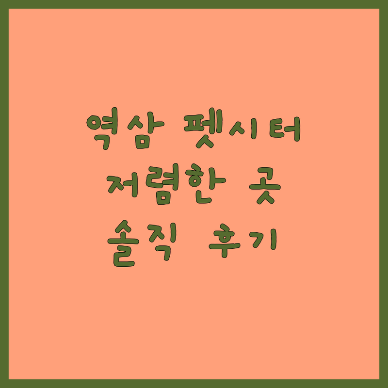 서울 강남구 역삼역 방문펫시터 저렴한 곳 가격싼 곳 업체 추천 | 펫시팅 비용 가격 잘하는 곳 | 방문돌봄 위탁돌봄 방문미용 | 강아지 방문 고양이 방문 솔직후기 내돈내산 팁