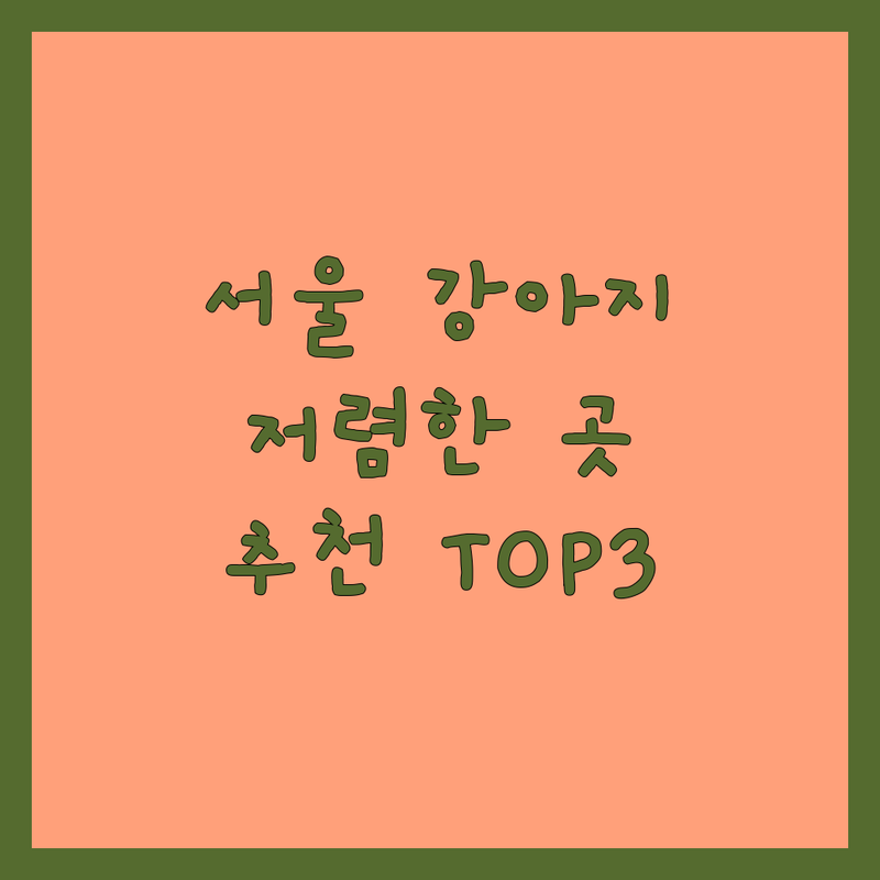 서울 애견호텔 저렴한 곳 가격싼 곳 업체 추천 | 강아지호텔 비용 가격 잘하는 곳 | 24시간 호텔링 데이케어 유치원 | 소형견 중형견 대형견 픽업 서비스 | 안전한 애견호텔 실내놀이터 CCTV