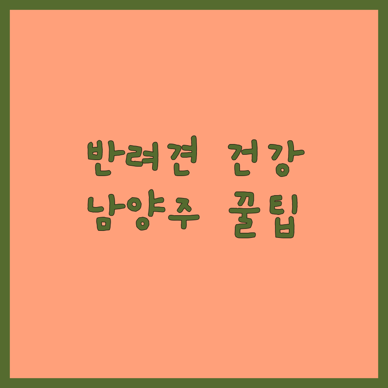 남양주시 반려동물건강관리 저렴한 곳 가격싼 곳 업체 추천 | 동물병원 비용 가격 잘하는 곳 | 강아지 건강검진 고양이 예방접종 유전자검사 | 펫시터 애견호텔 방문수거 | 노령견관리 영양제 애견용품