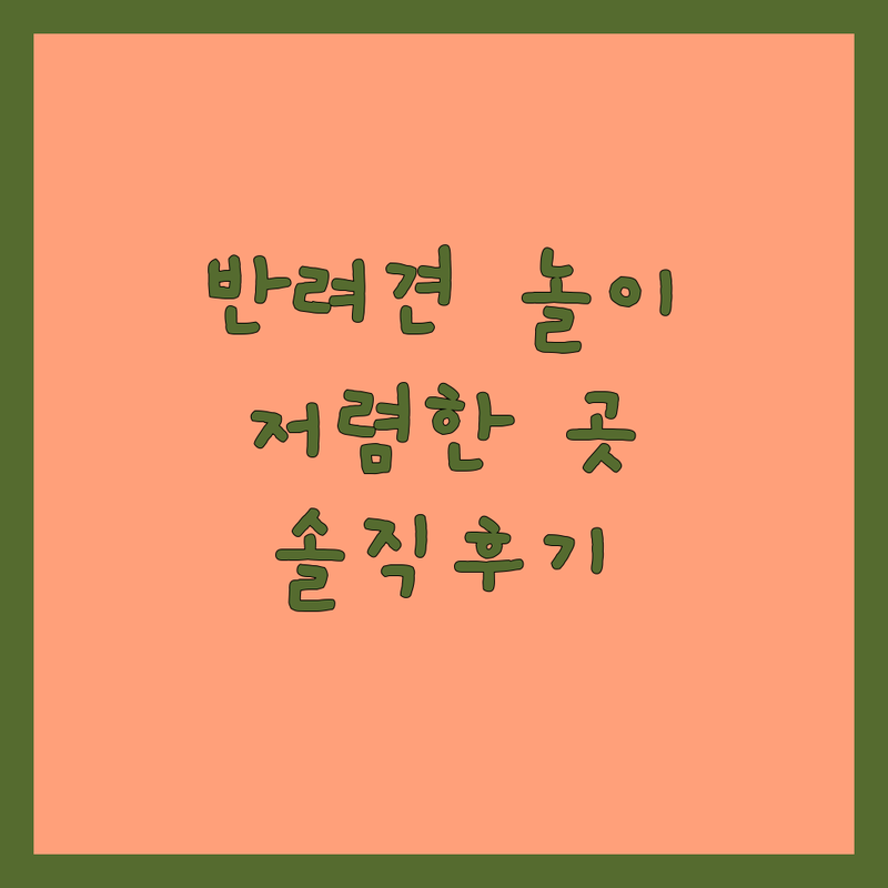 우리 동네 반려동물놀이 저렴한 곳 추천 | 강아지 호텔 펫시터 훈련 비용 잘하는 곳 | 방문돌봄 애견유치원 미용 | 24시 상주 케이지프리 스트레스관리 | 내돈내산 솔직후기 가격비교