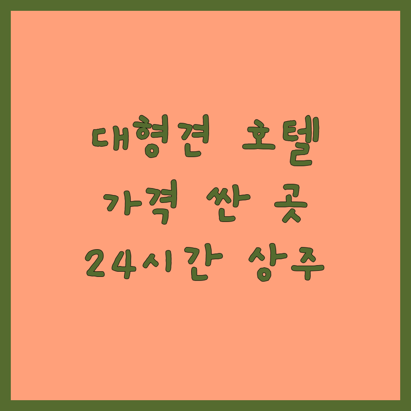 전국 대형견 애견호텔 저렴한 곳 가격싼 곳 업체 추천 | 대형견 호텔링 비용 가격 잘하는 곳 | 대형견 유치원 데이케어 훈련 | 24시간 상주 넓은 운동장 | 소수정예 방문상담 주차가능