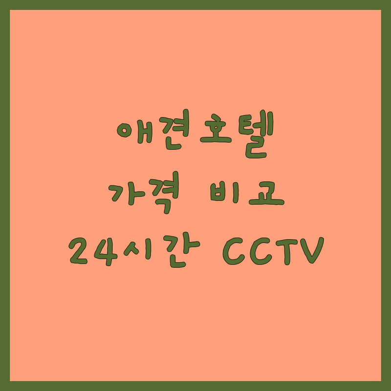 서울 애견호텔 추천 | 강아지 호텔링 비용 가격 잘하는 곳 | 데이케어 유치원 픽업 서비스 | 24시간 CCTV