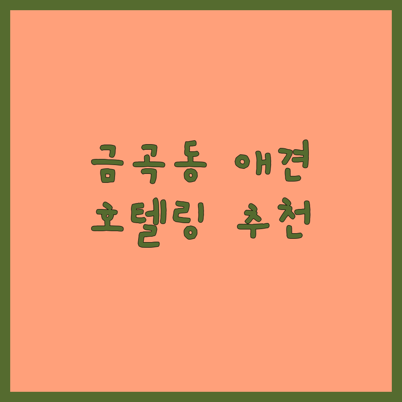 남양주시 금곡동 애견호텔촬영 저렴한 곳 업체 추천 | 애견훈련 동물촬영 비용 가격 잘하는 곳 | 대형견 소형견 애견호텔링 | 출장 방문촬영 무료상담 | 솔직 후기 가격비교