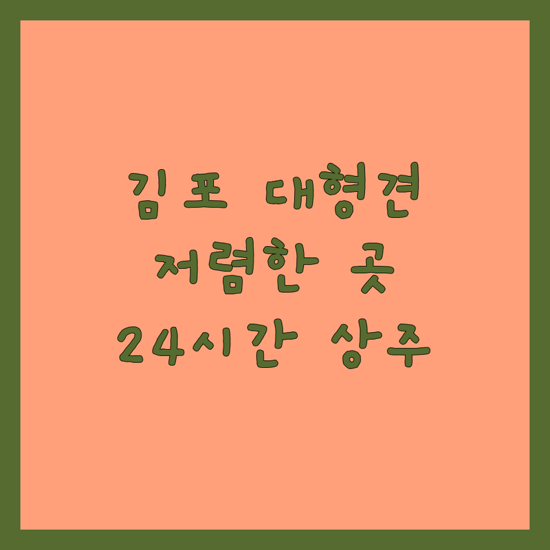 김포 대형견 애견호텔 저렴한 곳 가격싼 곳 업체 추천 | 대형견 호텔링 비용 가격 잘하는 곳 | 애견유치원 위탁교육 | 24시간 상주 픽드랍 | 천연잔디운동장 실내놀이터