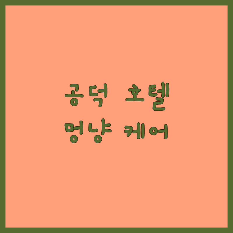 마포구 공덕동 반려동물호텔 정보