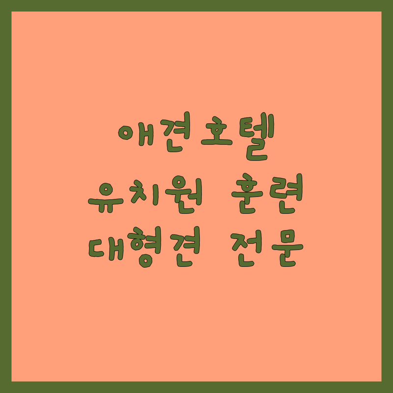 경기도 애견호텔교육 잘하는 곳 추천 | 강아지 유치원 훈련 비용 가격 | 위탁교육 호텔링 분리불안 사회화 펫시터 | 대형견 소형견 전문 | 주차 픽업 서비스 후기