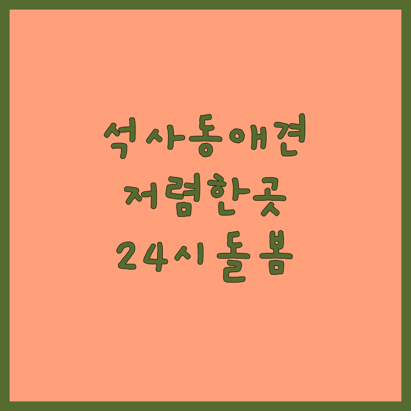 춘천시 석사동 애견호텔예약 저렴한 곳 가격싼 곳 업체 추천 | 강아지 호텔 비용 가격 잘하는 곳 | 24시 애견유치원 놀이방 픽업 | 반려동물 위탁 돌봄 전문 | 시설 깔끔한 곳 후기 좋은 곳