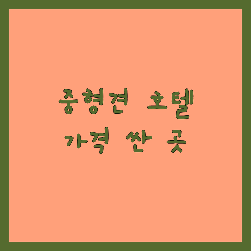 청도 각북면 애견호텔 중형견 저렴한 곳 가격싼 곳 업체 추천 | 중형견 호텔링 비용 가격 잘하는 곳 | 픽드랍 유치원 위탁목욕 | 24시간 CCTV 산책 | 천연잔디 운동장