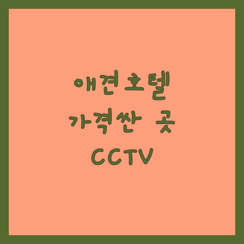 경기권 애견호텔 CCTV 저렴한 곳 가격싼 곳 업체 추천 | 반려동물 호텔 비용 가격 잘하는 곳 | 실시간 CCTV 개별룸 24시간 상주 | 노령견 사회성 부족견 케어 | 포천 수원 용인 애견호텔 후기
