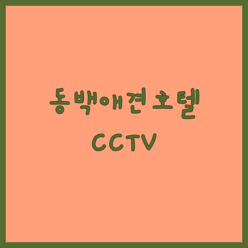 용인 동백 애견호텔 CCTV 저렴한 곳 가격싼 곳 업체 추천 | 강아지호텔 실시간CCTV 비용 가격 잘하는 곳 | 프라이빗룸 노령견케어 24시간상주 | 안심 호텔링 분리불안케어 | 실시간 확인 서비스