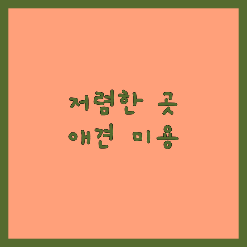 서울 반려동물목욕 저렴한 곳 가격싼 곳 업체 추천 | 애견미용 비용 가격 잘하는 곳 | 셀프목욕 가위컷 애견스파 | 24시간 무인 애견용품 | 예약 주차 편리