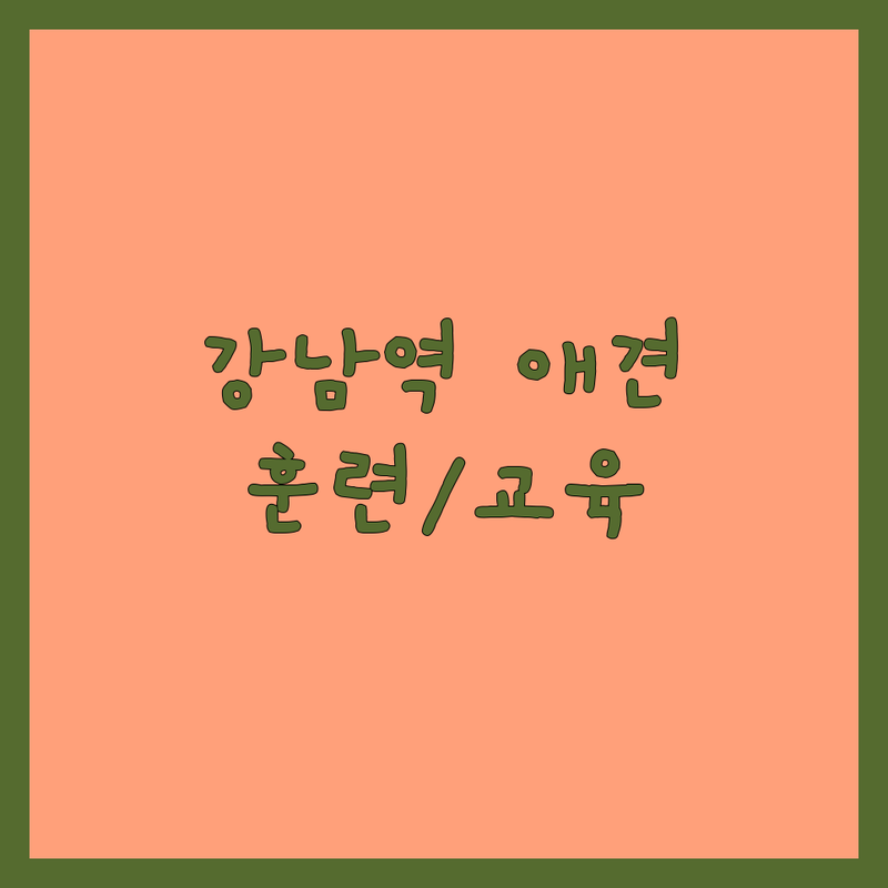 강남역 반려동물교육 애견훈련 저렴한 곳 업체 추천 | 반려견 행동교정 비용 잘하는 곳 | 방문교육 데이케어 장기호텔 | 강아지 사회화 피트니스 수의사 상주 | 무료상담 예약필수 주차가능