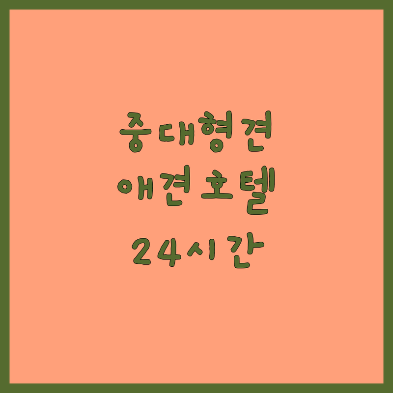 청도 이천 화성 경기광주 서울 애견호텔 중형견 대형견 저렴한 곳 가격싼 곳 업체 추천 | 반려동물호텔 비용 가격 잘하는 곳 | 중대형견 전문 호텔링 유치원 | 24시간 상주 천연잔디 운동장 | 개별룸 픽업 서비스