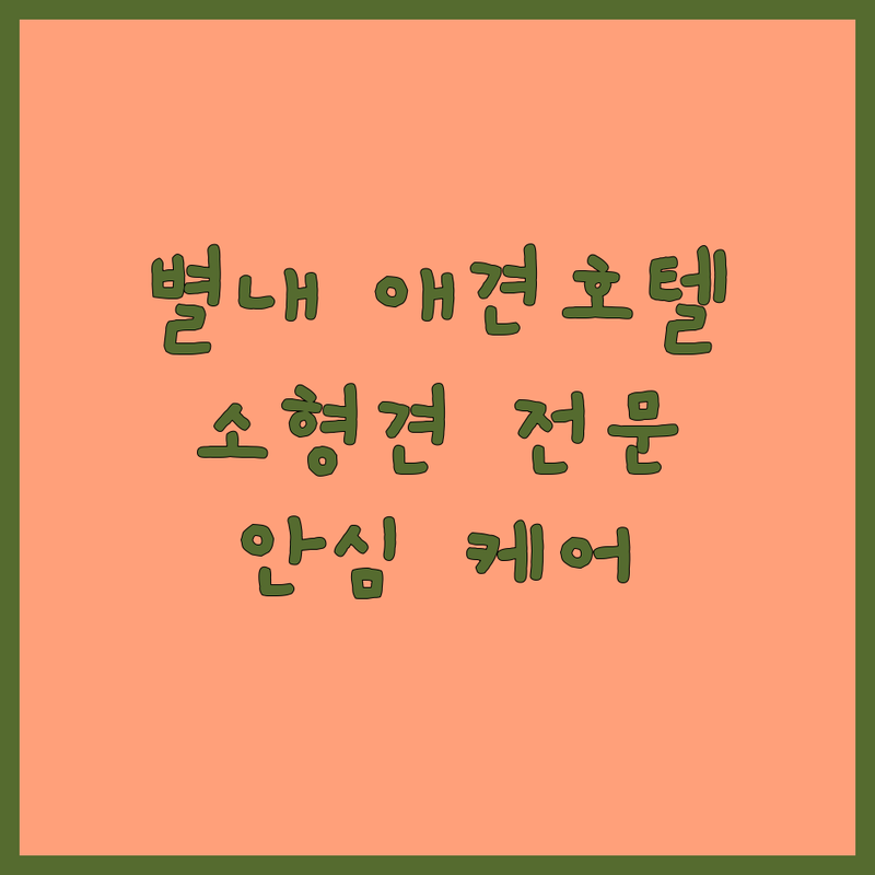 남양주 별내 애견호텔 소형견 전문 추천 | 강아지 유치원 데이케어 비용 가격 잘하는 곳 | 1박 위탁 돌봄 예약 후기 | 안전한 소형견 호텔링 | 반려견 안심 케어