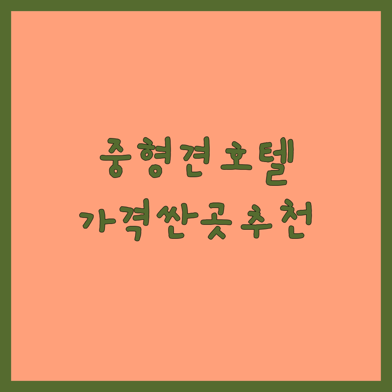 이천시 신둔면 애견호텔중형견 저렴한 곳 가격싼 곳 업체 추천 | 중형견 대형견 애견호텔 비용 가격 잘하는 곳 | 강아지호텔링 애견유치원 장기호텔링 | 픽드랍 수제간식 24시간상주 | 천연잔디운동장 사전방문 필수