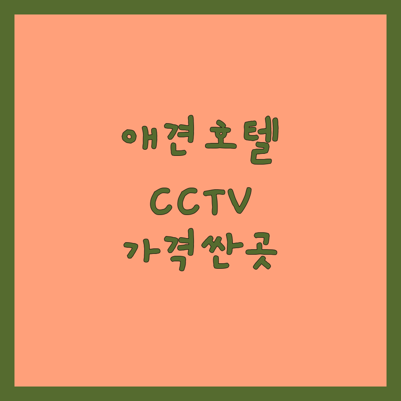 용인 동백역 수원 권선동 포천 애견호텔 CCTV 저렴한 곳 가격싼 곳 업체 추천 | 애견호텔CCTV 비용 가격 잘하는 곳 | 프라이빗룸 노령견케어 24시간상주 | 산책 목욕 추가 | 실시간CCTV 공유 주차가능