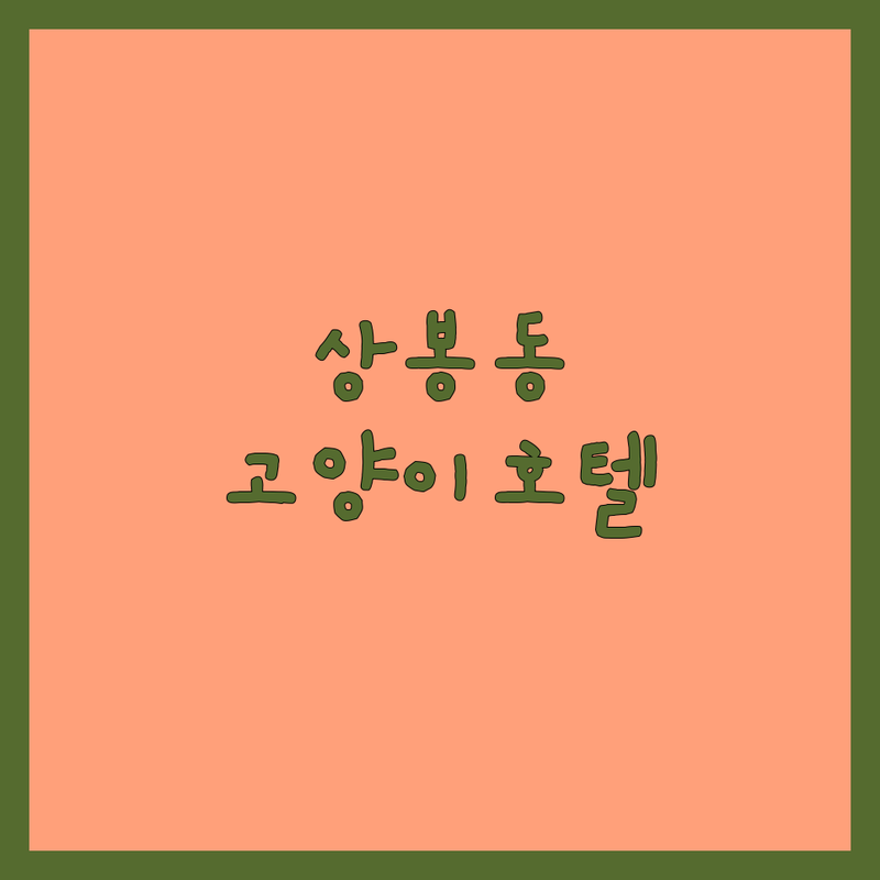 상봉동 고양이호텔 저렴한 곳 가격싼 곳 업체 추천 | 고양이호텔 비용 가격 잘하는 곳 | 1묘1실 프리미엄 디럭스 VIP룸 | 펫캠 24시간 CCTV 탁묘 | 장기호텔링 무마취미용 스파