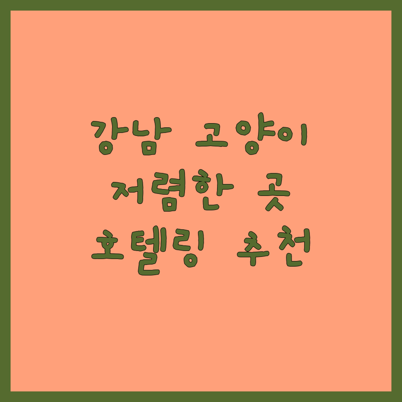 서울 강남 고양이호텔 저렴한 곳 가격싼 곳 업체 추천 | 고양이호텔링 비용 가격 잘하는 곳 | 청담 신사 성수 양천 고양이탁묘 | 반려묘 전문 호텔링 예약상담