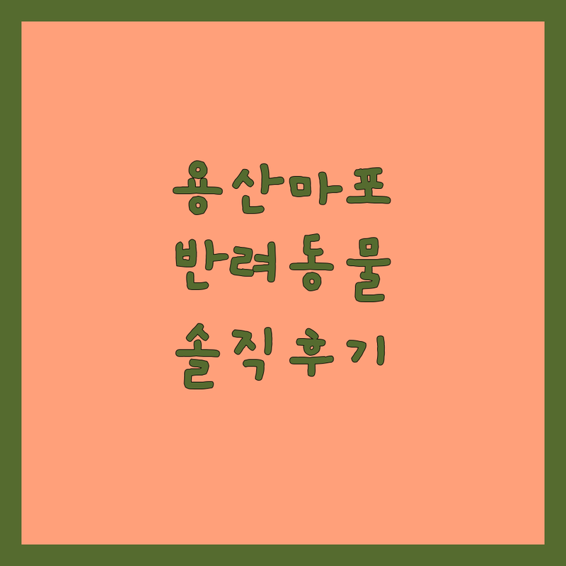 용산 마포 반려동물케어 저렴한 곳 추천 | 애견호텔 유치원 미용 비용 가격 잘하는 곳 | 강아지방음부스 펫시터 훈련 | 24시 호텔링 방문미용 스파 | 솔직 후기 비교