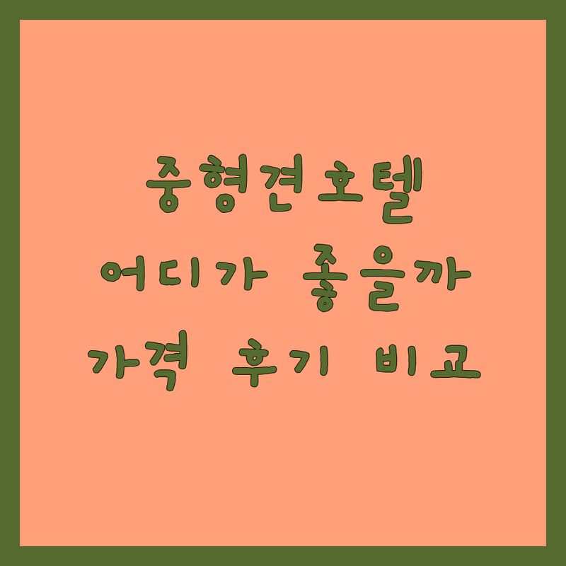 청도 이천 광주 중형견 애견호텔 추천 | 우리 강아지 안심하고 맡길 곳 | 장기 호텔링 픽업 서비스 | 24시간 상주 천연잔디 운동장 | 비용 가격 후기 비교