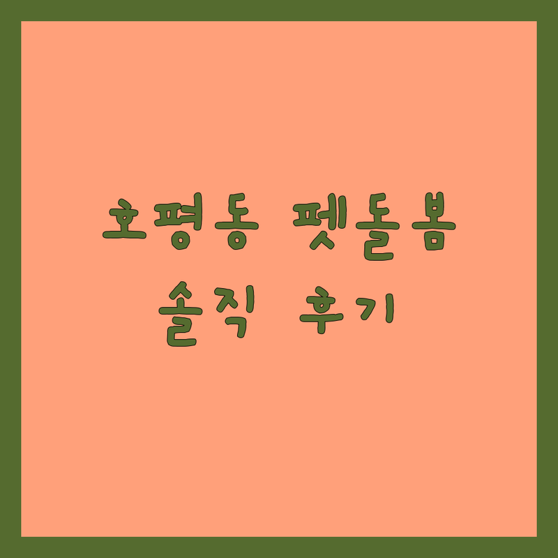 남양주시 호평동 반려동물돌봄 애견호텔 펫시터 솔직 후기 | 강아지 고양이 위탁 돌봄 비용 가격 잘하는 곳 | 24시간 상주 유치원 미용 | 방문 돌봄 픽업 드롭 | 내돈내산 경험 공유