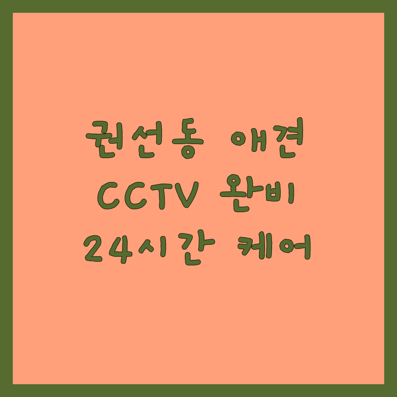 수원시 권선구 권선동 애견호텔 저렴한 곳 가격싼 곳 업체 추천 | 애견호텔CCTV 비용 가격 잘하는 곳 | 24시간 CCTV 개별룸 픽드랍 노령견 케어 | 실시간 모니터링 안심 케어 분리불안 | 프리미엄 호텔 피어프리 방문수거